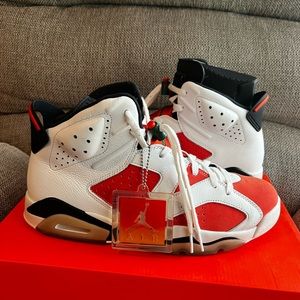 Air Jordan 6 retro Gatorade ,size 10.5
